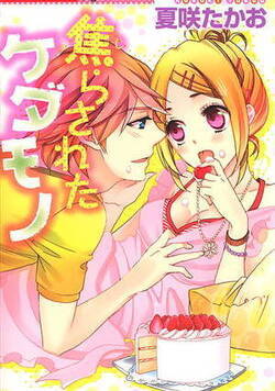 焦らされたケダモノ