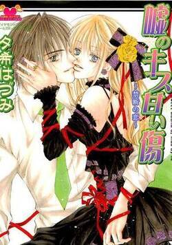 嘘のキス 甘い傷 ～禁断の恋～