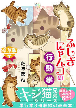 ふしぎにゃんコの行動学【豪華版】