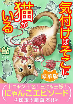 気付けばそこに猫がいる【豪華版】 1話 - 1巻