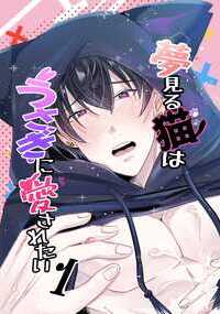 夢見る猫はうさぎに愛されたい